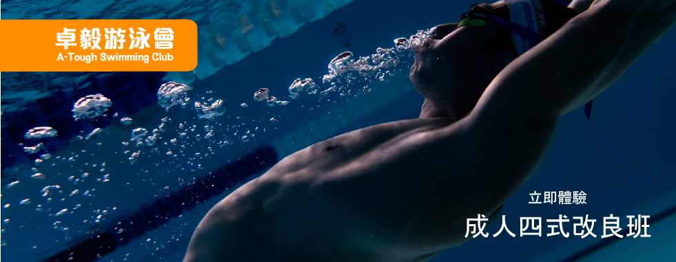 卓毅游泳會 - 成人四式改良班